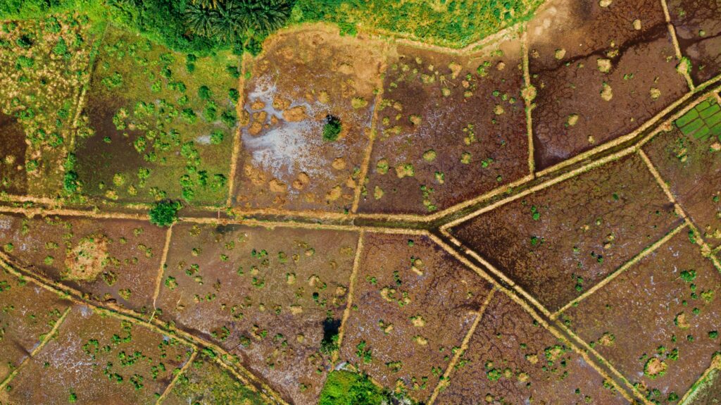 parig real estate land