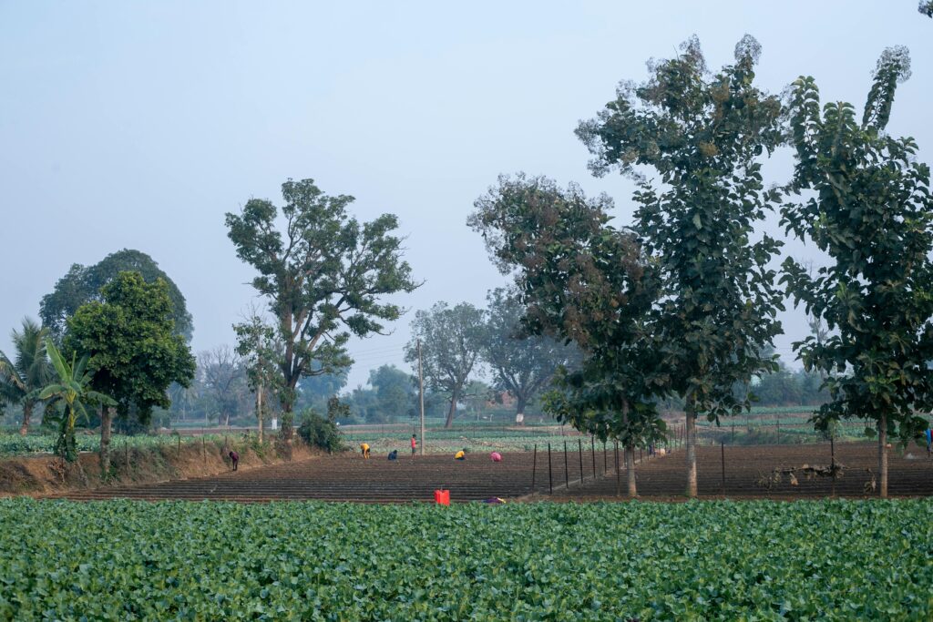 shadnagar real estate land